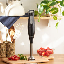 Homend Handmaid 1938H Çubuk Blender Siyah 1000W - 3
