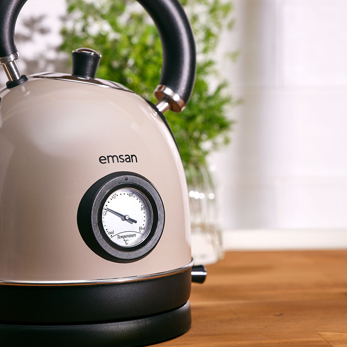 Emsan Turtle Kettle Beige - 2
