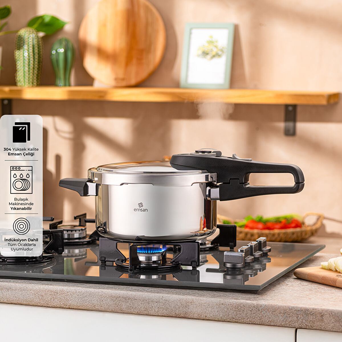 Emsan Fast Cooker Çift Emniyetli Düdüklü Tencere 4 Lt