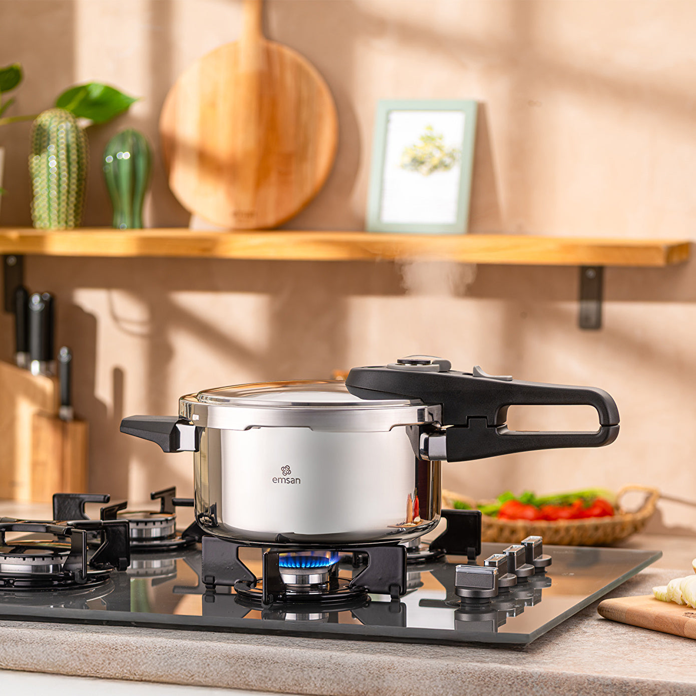 Emsan Fast Cooker Çift Emniyetli Düdüklü Tencere 4 +6 Lt